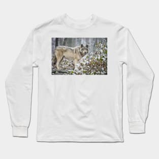 Gray Wolf Long Sleeve T-Shirt